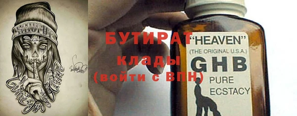 прущие грибы Аркадак