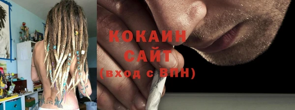прущие грибы Аркадак